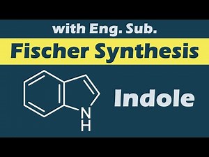 Fischer Indole Synthesis Reaction Mechanisms (with English sub)