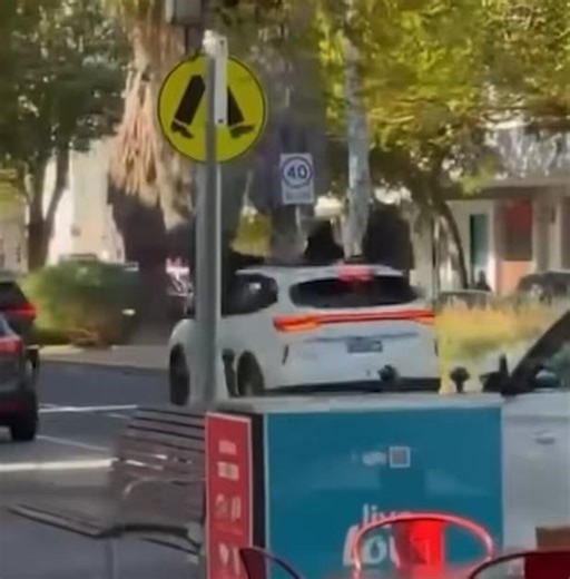 Leftist like to talk about a "transition" to renewables. The only "transition" we are seeing, is the transition of Melbourne into a third world hell hole.