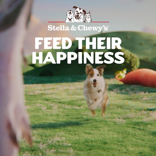 If dogs like fish, then darn it, we're going to give them the best fish possible. Find our natural food at your local pet store. | Stella & Chewy's