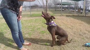 14K views · 444 reactions | Update: Zena found her new family! :)...