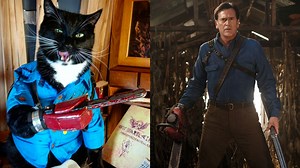 Check Out This Cat Cosplaying as EVIL DEAD's Ash — GeekTyrant