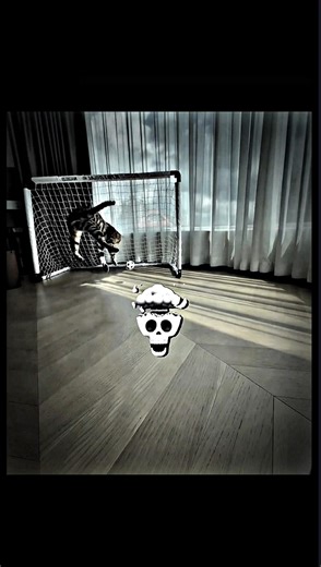 Dog vs Cat: Who Is the Best Goalkeeper? #cat #dog #trolledit #trollface #troll