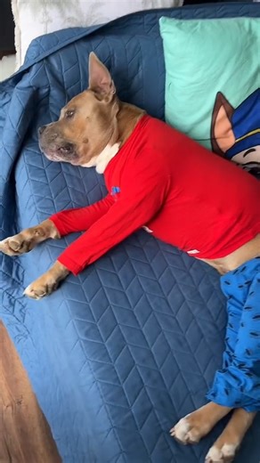 Mauvais réveil pour mon fils 🥺🥺 | Mundele