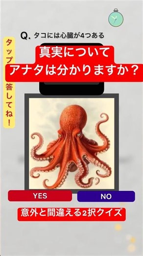 【8割が誤答する⁉︎】勘違いしがちクイズ #2択クイズ #2択 #クイズ #quiz #知識 #うんちく #脳トレ #タコ