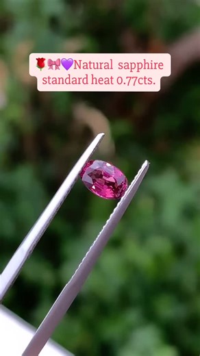 👵🏻𝕄𝕪 𝕗𝕒𝕣𝕥𝕙𝕖𝕣'𝕤 ℂ𝕠𝕝𝕝𝕖𝕔𝕥𝕚𝕠𝕟🧓 on Instagram: "🌹🎀💜Natural sapphire standard heat 0.77cts. (6.2x4.2x3.2mm.size) #sapphire #pink sapphire #พลอยแท้ #พลอยแซฟไฟร์"