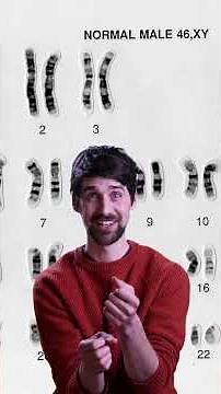 What is mitosis?