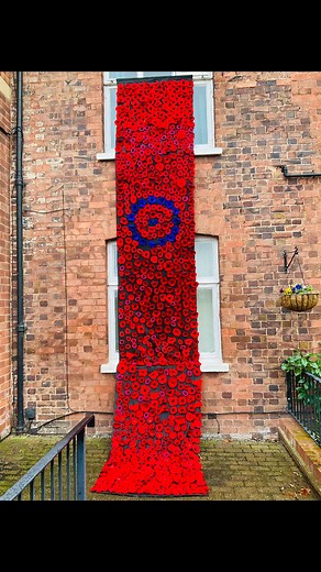 🌺 In Flanders fields the poppies blow 🌺 Between the crosses, row on row, 🌺 That mark our place; and in the sky 🌺 The larks, still bravely singing, fly 🌺 Scarce heard amid the guns below. 🌺 We are the Dead. Short days ago 🌺 We lived, felt dawn, saw sunset glow, 🌺 Loved and were loved, and now we lie, 🌺 In Flanders fields. 🌺 Take up our quarrel with the foe: 🌺 To you from failing hands we throw 🌺 The torch; be yours to hold it high. 🌺 If ye break faith with us who die 🌺 We shall not 