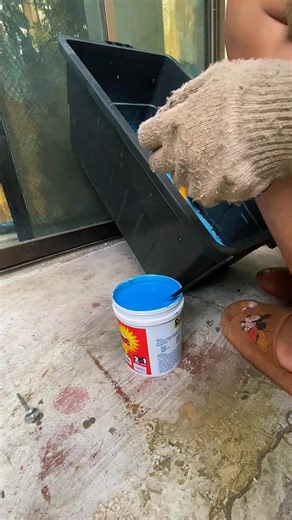 A Day with Me... #fishkeeping #fishkeeper #fishkeepinghobby | Yhan Talk