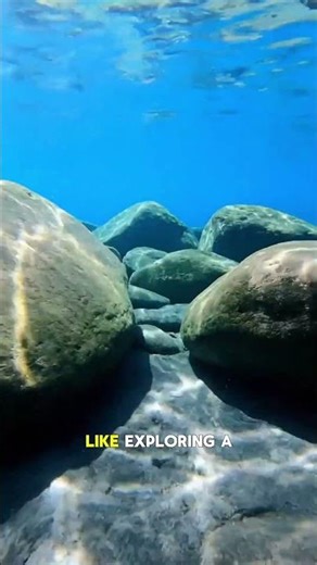 Diving into the Heart of the Great Lakes ❄️💎