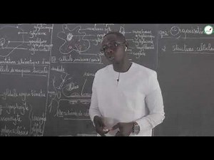 Course - First - SVT: Organization of the cell / Animal cellular structures S1 / M. BEYE