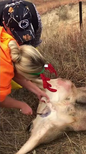 Hot farmer in bib overalls, semi driving, modeling, farming