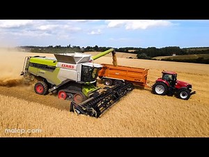 4Kᵁᴴᴰ Harvest 2023: Claas Lexion 7700TT with MacDon FD135 in Suffolk.