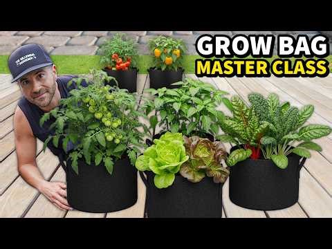 Gardening In GROW BAGS Is So EASY It's Like Cheating!