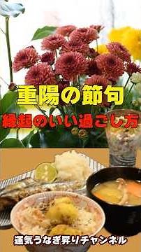 知ってた？✨重陽の節句で運気を上げる方法【菊と栗のパワー】 #運気うなぎ昇りチャンネル #重陽の節句 #開運 #運気アップ #健康長寿 #季節の行事 #菊 #栗 #日本の行事 #9月9日