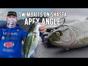 Apex Angle: Swimbaits on Shasta with Jeff Michels