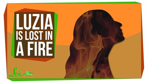 Luzia among specimens likely lost in Brazil museum fire | SciShow News