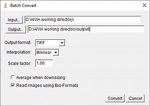 Ifoto Converter 2 6 1097 – Batch Conversion