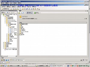 Windows Api 数据库操作技术 C  语言实现