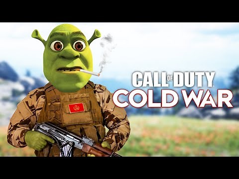 Call of Duty in a Nutshell