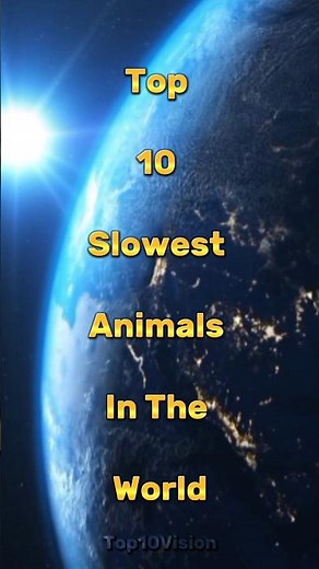 Top 10 Slowest Animals In The World #top10vision #top10facts #top10 #subscribe