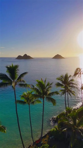 Paradise found on Oahu.🏝️🌞🌊 https://bit.ly/polyad2025 Follow Aloha Stoked Follow Hawaiian Islands Follow Experience Hawaii Media 🎥@natejourneys #Oahu #OahuIsland #VisitOahu #DiscoverOahu #OnlyInOahu #Hawaii #HawaiiLife #AlohaState #AlohaSpirit #Paradise | Experience Hawaii Media