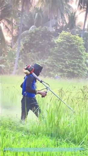 Taming the Field: Why One Man Still Carries His Mower on His Shoulder