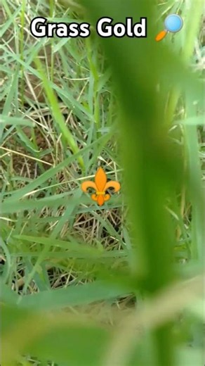 grass gold check on camera PT2📸#grass#gold#camera#shorts