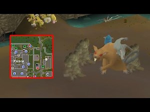 Scurrius Gives INSANE Combat XP At Low Levels (Chunk Main #3) OSRS