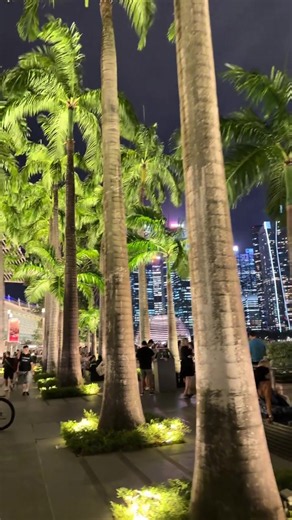这才是周末好去处#新加坡 #金沙酒店 #圣淘沙 #风景 #周末愉快