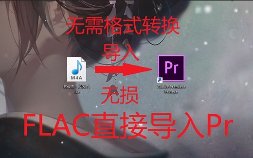 【实用】FLAC文件直接无损导入pr（无需转格式）