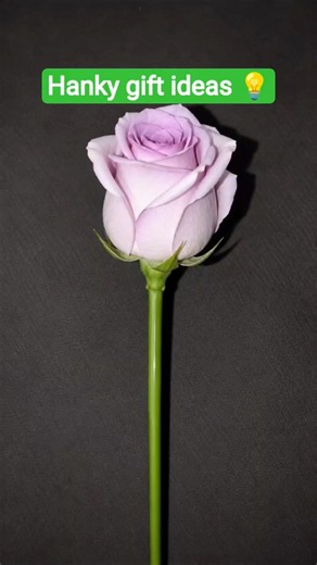 hanky gift ideas/hanky se bnaya rose 🌹#diy #craft #hanky #sewing #handmade