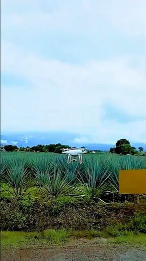 Aterrizaje Drone DJI Phantom 4 Pro V2.0 🔥