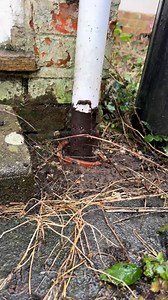 Gutter renovation on Reels