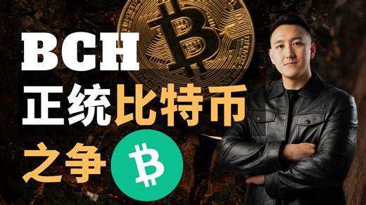 BTC不是真正的比特币？黄金记述 vs 现金记述：BTC与BCH的路线封闭；POW史诗：矿霸、分叉与BCH的兴衰真相