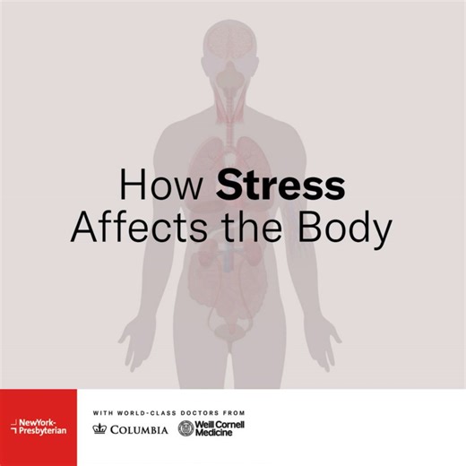 Chronic stress can cause a wide range of problems, from bloating and stomach pain to an increased risk of heart attack. In recognition of #StressAwarenessMonth, we’re sharing five simple tips from Maria Corvese, an NYP well-being coach at #NYPQueens, to reduce stress and its impact on your body. Learn more: https://nyphosp.co/4aV0bFa Columbia University Irving Medical Center, Weill Cornell Medicine | NewYork-Presbyterian Hospital
