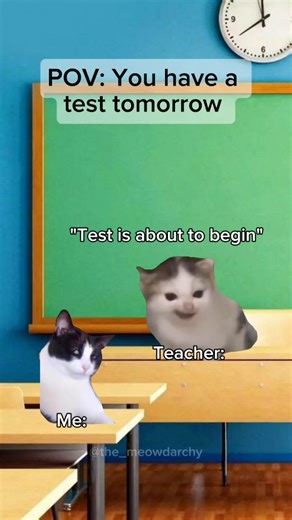 The Meowdarchy on Instagram: "I think H2O is spicy water #catmemes #funny #trending #viral #relatable"