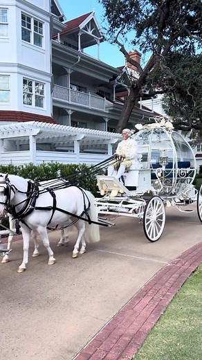 Have you ever spotted Cinderella’s Carriage at the Grand Floridian Resort? It’s gorgeous! #disneyfairytaleweddings #wdw #disneyweddings | Disney Addicts