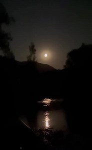 In canoa al chiaro di luna piena 🌕 🛶 🌜 Lasciatevi trasportare dall’atmosfera magica del Fiume al chiaro di luna🌜💚 👉🏻Vi aspettiamo per le prime date della stagione: MARTEDÌ 14 e MERCOLEDÌ 15 GIUGNO, ORE 20:30 Vi offriamo da sempre lo Spettacolo Migliore 💖 Naturalmente ed Autenticamente Targati #ilbosso 💚 #weareilbosso #wearedifferent #tirinoriver #tirinovalley #chiarodiluna #lunapiena #abruzzo #fiumetirino #tirino #capestrano #valledeltirino #fiumetirino #moonlight | Il Bosso