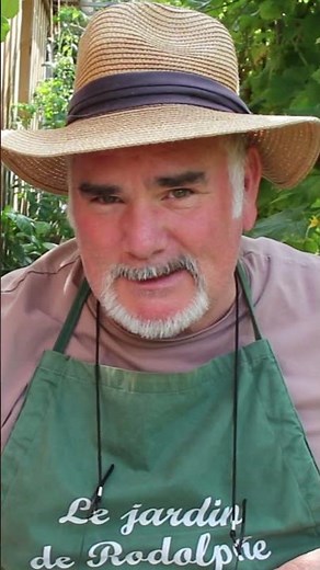 To successfully sow seeds in mid-August #garden #permaculture #gardening #garden