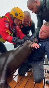 animal locked his teeth to the trainer's arm #fblifestyle | Bebicris vlog