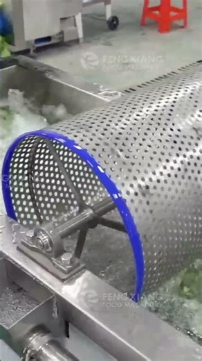 1500kg/h Lettuce Cutting & Bubble Washing Line 🥬 #vegetablewashing #foodmachinery #foodprocessing