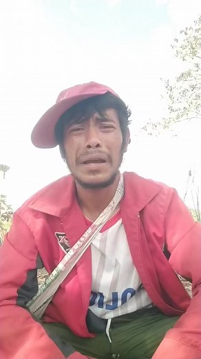 Promotional Guide to Chainsaw Use and Pricing