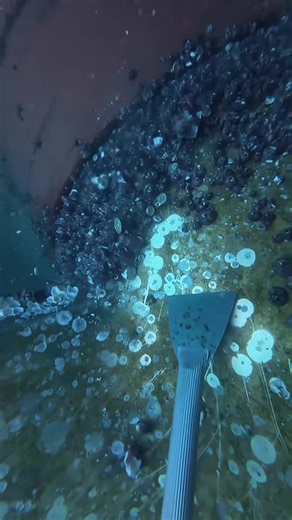 Scraping Barnacles off the Propeller: A Satisfying Dive Experience