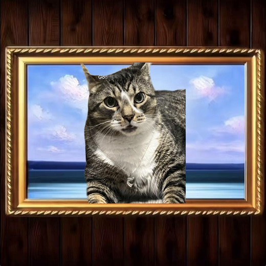 Benito in Bikini Bottom? Funny Cat Edit Toma Toma Trend