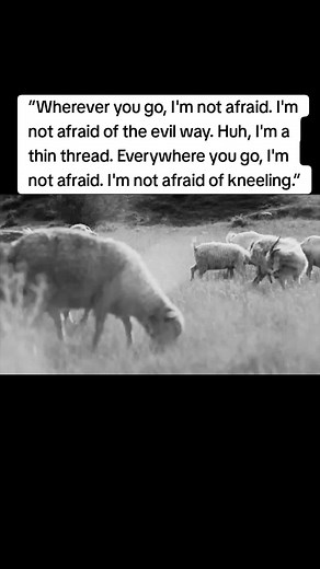 Malome Vector Nobody Music Video - Rest in Peace Tribute