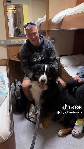 Cook Strait Ferry Crossing: A Memorable Adventure