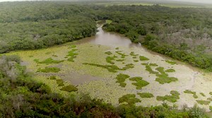 23K views · 307 reactions | This video is Guyana in a nutshell. Check it out, and if you are a nature lover, put us on your travel bucket list for when its safe to travel again! #DiscoverGuyana #TravelGuyana | Discover Guyana | Facebook