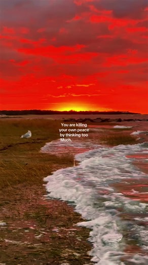 Take a deep breath. focus on this moment right now! You are safe. you are loved. You have everything you need to be happy. Stop thinking about the past it’s over. Don’t worry about the future. It hasn’t happened yet. Focus on right now in this moment. In this moment, you are smiling you are happy. When you smile it tricks your brain, it automatically releases serotonin no matter what kind of mood you’re in. No matter how stressed you are. When you laugh, it does the same thing. So smile and laug