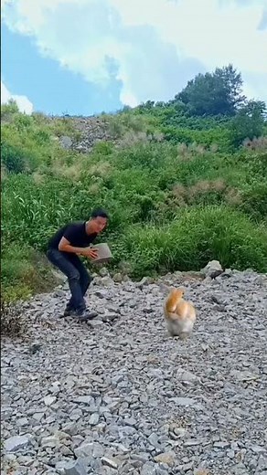 #ShootingmemeShootingmemeShoootfunnymeme#