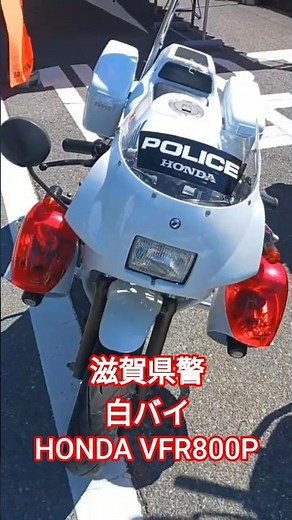 HONDA VFR800P 滋賀県警白バイ#vfr800 #白バイ #honda